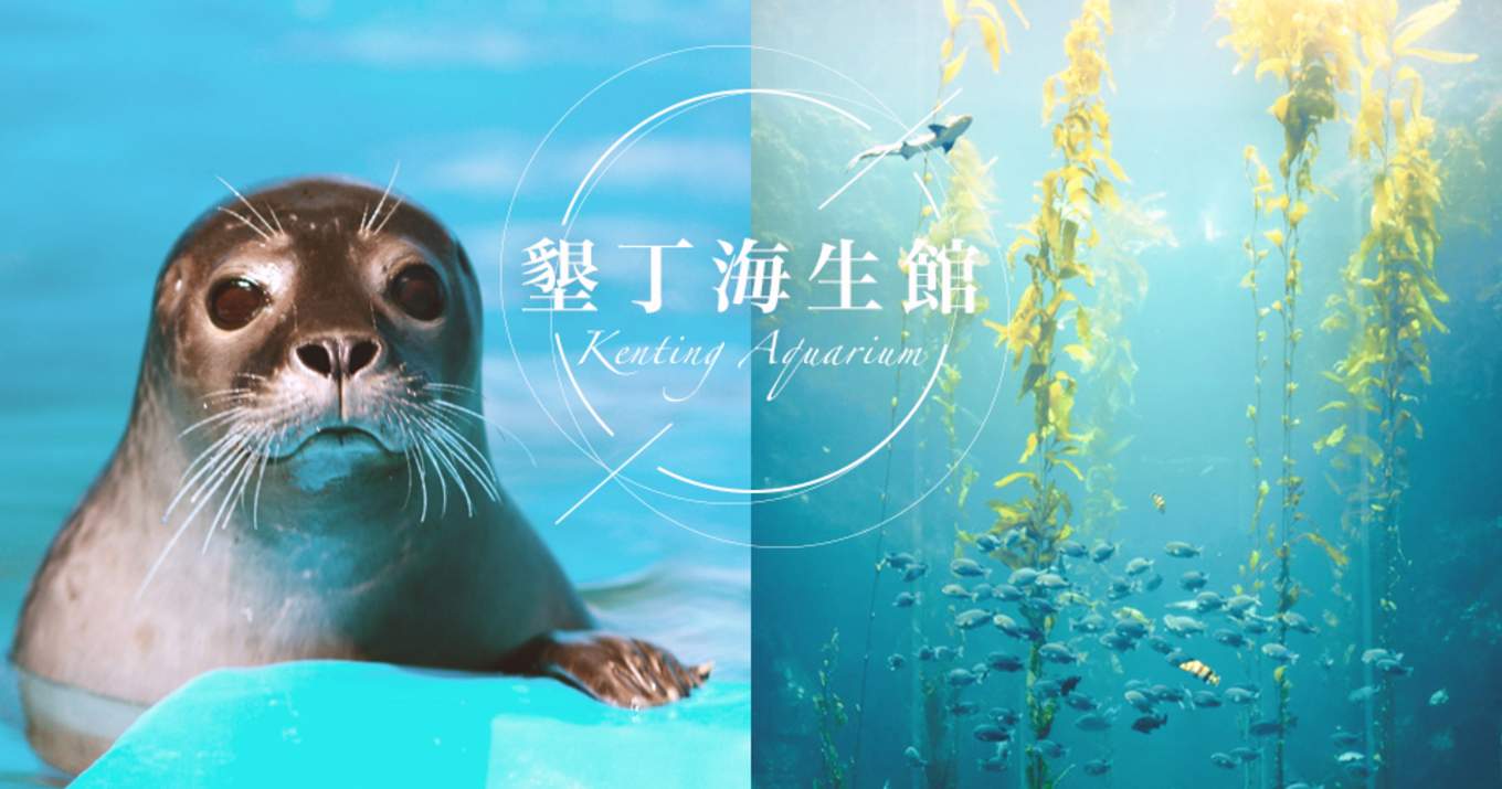 與魚共舞～夜宿海生館-0